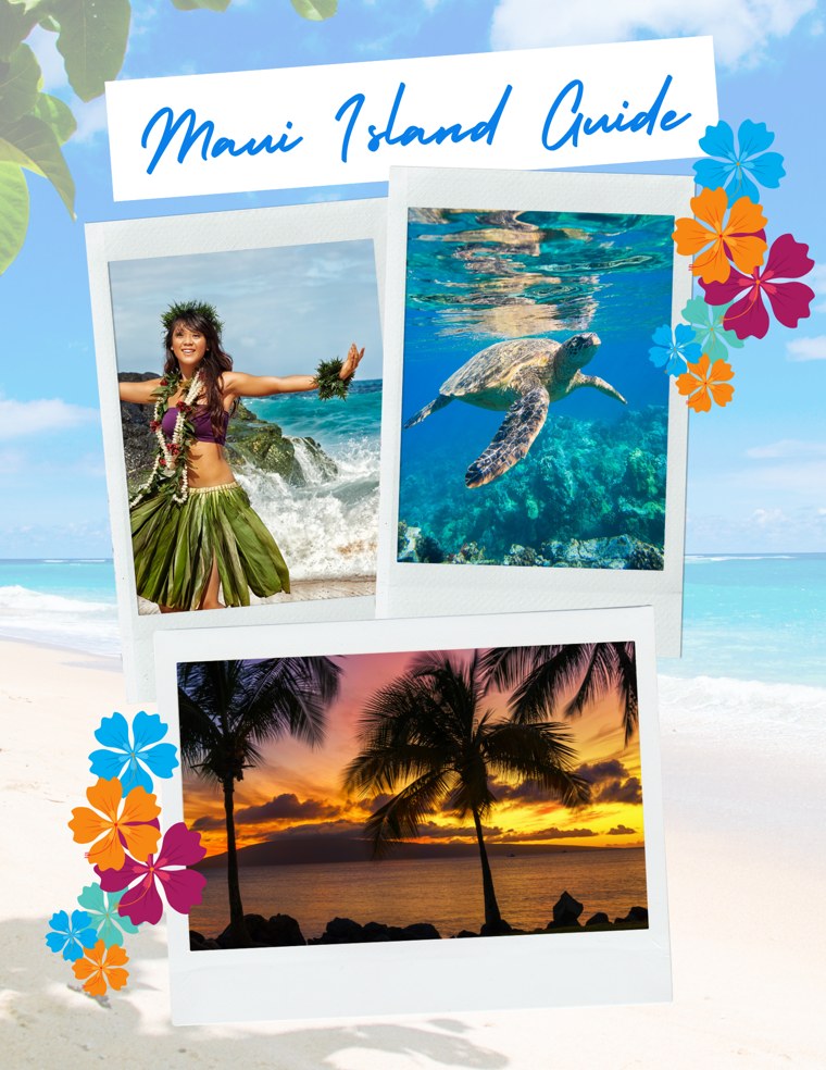 Cover of the Maui Island Guide
